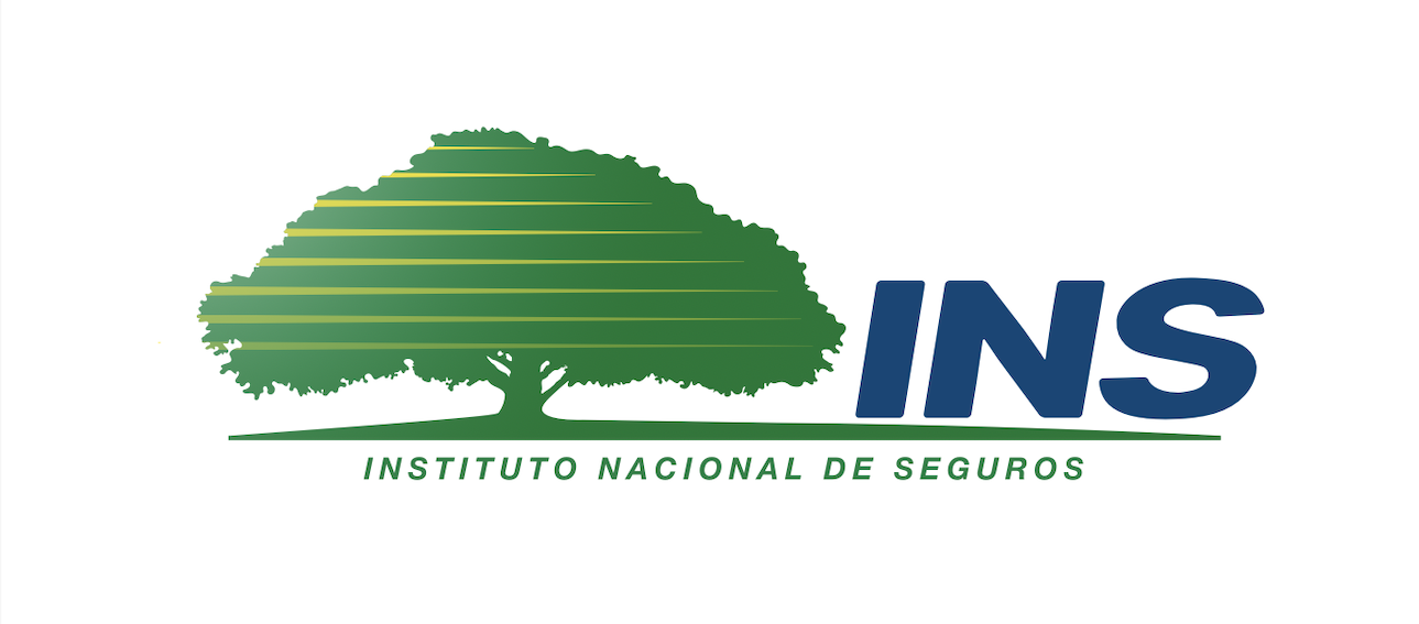 Logo INS